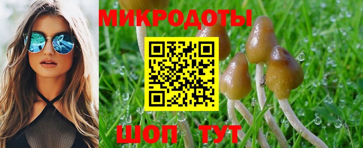 Псилоцибиновые грибы Magic Shrooms  Вход с VPN  Изобильный 