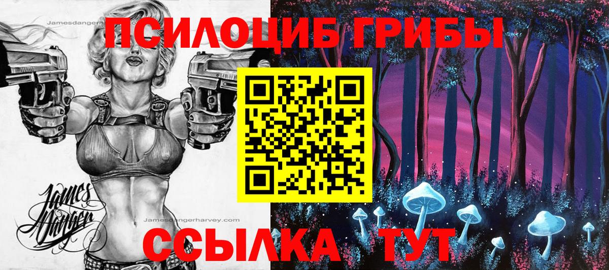 Псилоцибиновые грибы Cubensis Изобильный